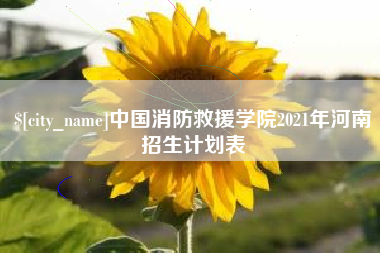 沙河中国消防救援学院2021年河南招生计划表