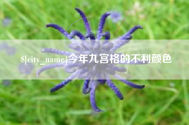 沙河今年九宫格的不利颜色
