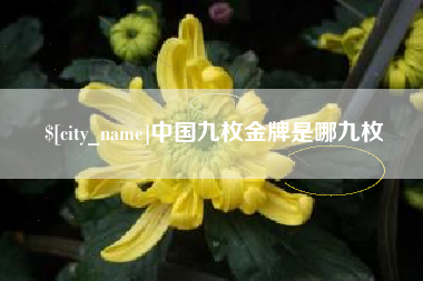 沙河中国九枚金牌是哪九枚
