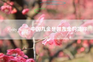沙河中国九金是哪九金的简称