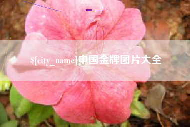 沙河中国金牌图片大全