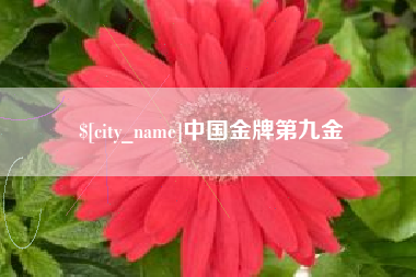 沙河中国金牌第九金