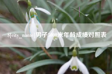 沙河男子5000米年龄成绩对照表