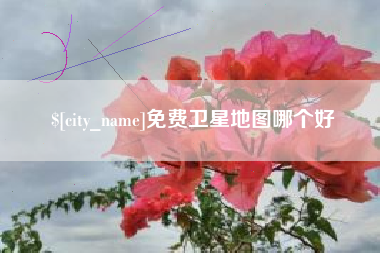 沙河免费卫星地图哪个好