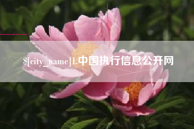 沙河1.中国执行信息公开网