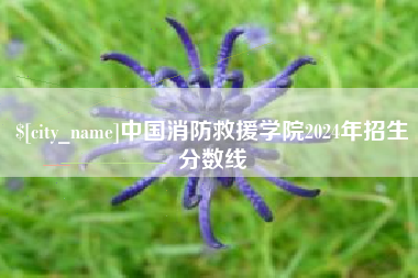 沙河中国消防救援学院2024年招生分数线