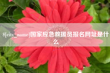 沙河国家应急救援员报名网址是什么