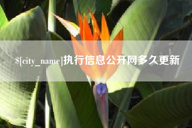 沙河执行信息公开网多久更新