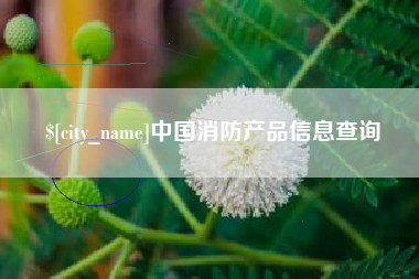 沙河中国消防产品信息查询