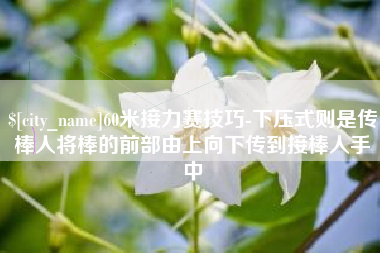 沙河60米接力赛技巧-下压式则是传棒人将棒的前部由上向下传到接棒人手中