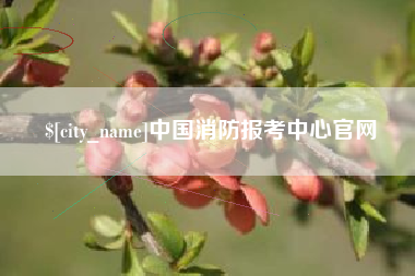 沙河中国消防报考中心官网