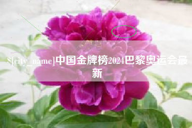沙河中国金牌榜2024巴黎奥运会最新