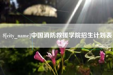 沙河中国消防救援学院招生计划表