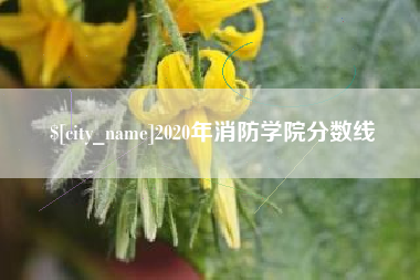 沙河2020年消防学院分数线