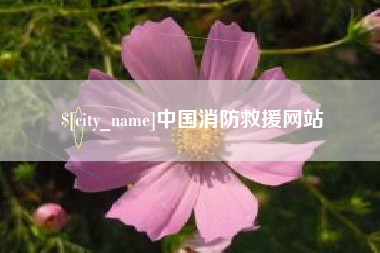 沙河中国消防救援网站