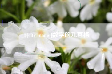 沙河数字的九宫格