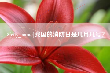 沙河我国的消防日是几月几号？
