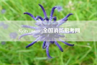沙河全国消防招考网