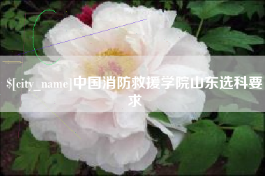 沙河中国消防救援学院山东选科要求