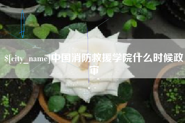 沙河中国消防救援学院什么时候政审