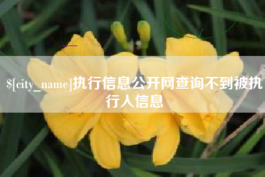 沙河执行信息公开网查询不到被执行人信息