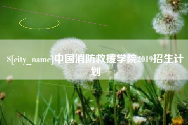 沙河中国消防救援学院2019招生计划