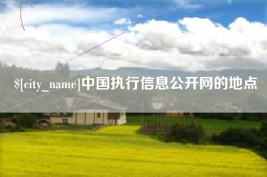 沙河中国执行信息公开网的地点