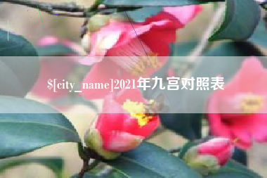 沙河2021年九宫对照表