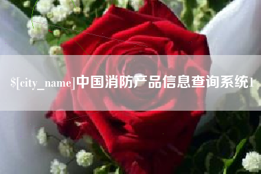 沙河中国消防产品信息查询系统1