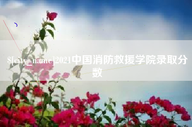 沙河2021中国消防救援学院录取分数