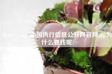 沙河中国执行信息公开网官网app为什么要钱呢