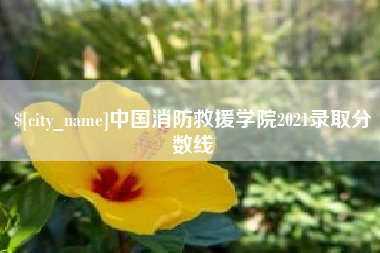 沙河中国消防救援学院2021录取分数线