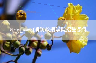沙河消防救援学院招生条件