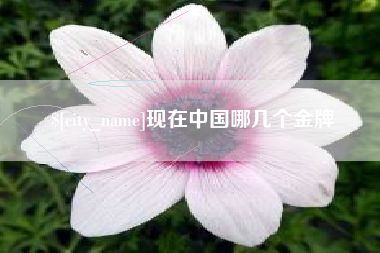 沙河现在中国哪几个金牌