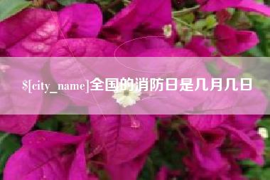 沙河全国的消防日是几月几日