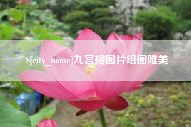 沙河九宫格图片组图唯美