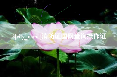 沙河消防证国网查询操作证