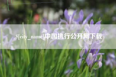 沙河中国执行公开网下载
