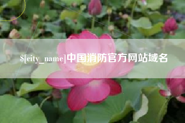 沙河中国消防官方网站域名
