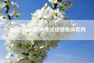 沙河消防考试成绩查询官网