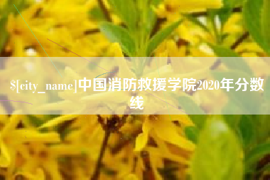 沙河中国消防救援学院2020年分数线