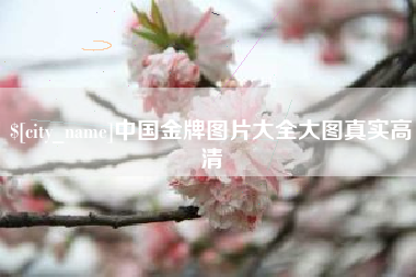 沙河中国金牌图片大全大图真实高清
