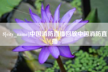 沙河中国消防直播回放中国消防直播