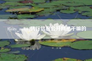沙河执行信息公开网是干嘛的
