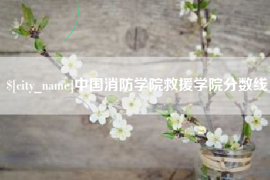 沙河中国消防学院救援学院分数线