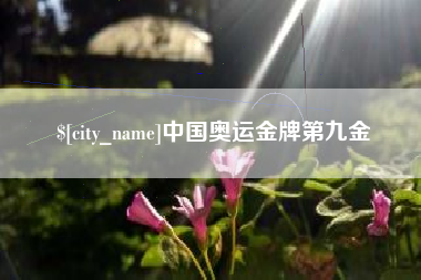 沙河中国奥运金牌第九金