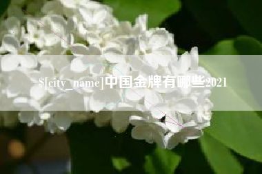 沙河中国金牌有哪些2021