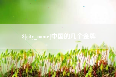 沙河中国的几个金牌