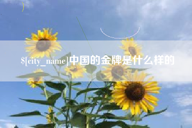 沙河中国的金牌是什么样的