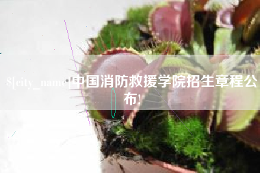 沙河中国消防救援学院招生章程公布!